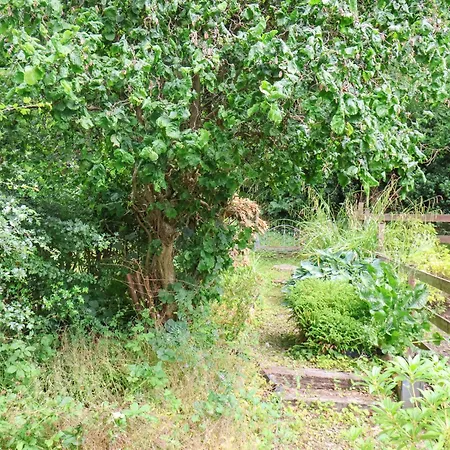度假居 Eskdale View, 5 Hollins