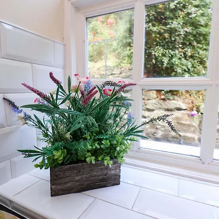 Eskdale View, 5 Hollins 度假居 惠特比
