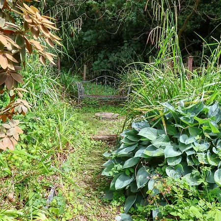 Eskdale View, 5 Hollins * וויטבי